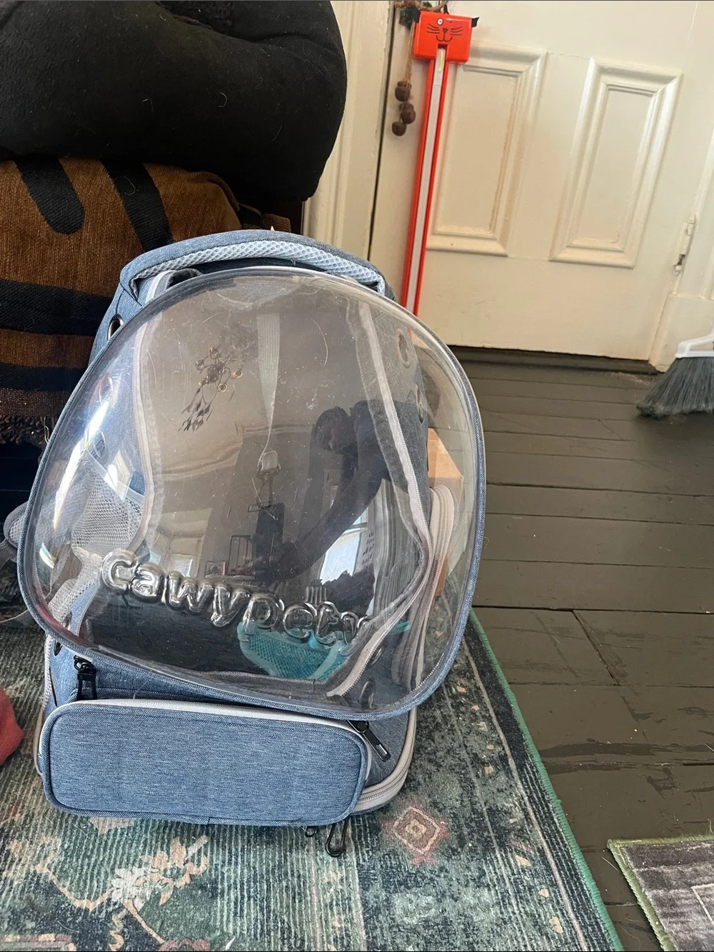 Clear Cat Bubble Backpack with pockets, Light Blue Accents